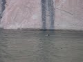 Kris Brubaker Cliff Jump