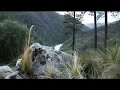 Hippy Gourmet visits an off-the-grid mansion Hippy Gourmet visits an off-the-grid mansion