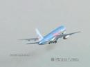 BIRD STRIKE