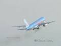 BIRD STRIKE
