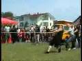 2. Susret buba, Kozarska Dubica 2007_1