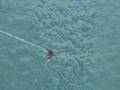 videos de Bunge Jumping Corinth canal gangster
