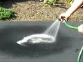 West coast painting company - doing sealcoat