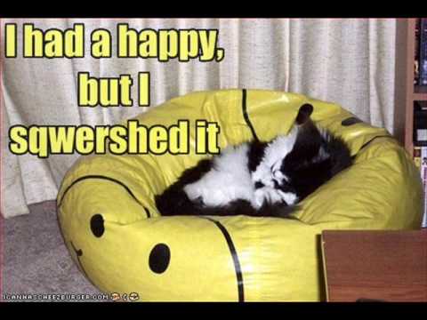 I Can Has Cheezburger - (S02E01) 30 Pictures of Lolcats. Enjoy. Icanhazcheezburger is a website with funny pictures of cats and other animals. Watch to find out more. Song: Come Wit...