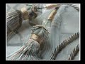 Use Exquisite Trims in Your Drapes & Home Decorating