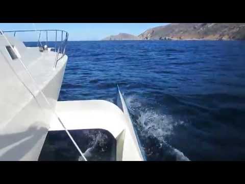 how to define a yacht