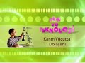 Zambak 4 Sınıf Fen Bilgisi Dolaşım Sistemi