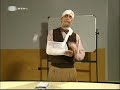 Gato Fedorento Professor