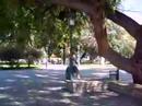 Jugando con los postes
