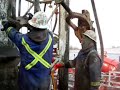 Drilling for Black Gold Drilling for Black Gold