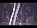 The 473 Ghost Hunters Ghost Files. Which Consist Mainly of Bachelors and other chicagoland ghosts. Comments and Video Responces are always welcomed, and dont forget to rate the Video.