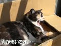 キョトン&鉄仮面の自己紹介