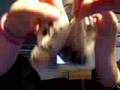 videos de teabagging