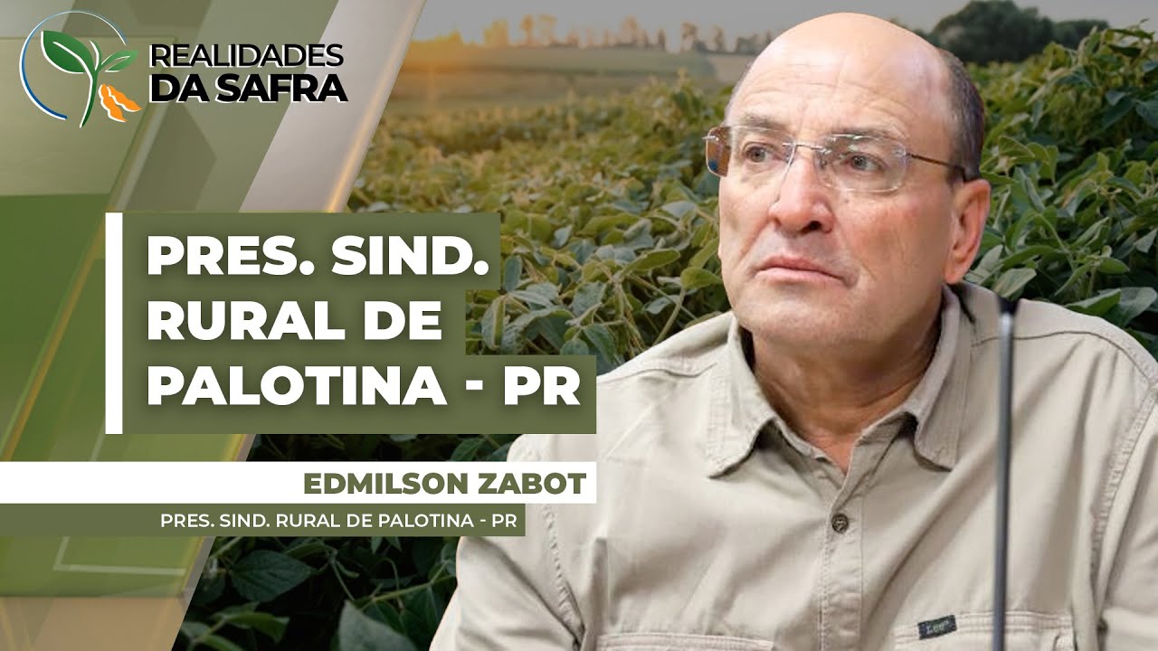 Palotina/PR esperava safra de soja de 75 sc/ha, mas projeção já foi reduzida para 60 sc/ha