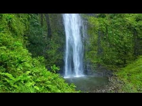 how to remove door panel mazda mx-5