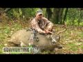 Wisconsin Bow Hunting Buck Harvest 2009