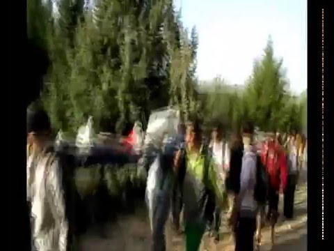 0 מסע חולצה(אלונקות)   16 קמ / 2008