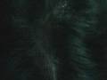 videos de Guiness World Records-The Longest Hair