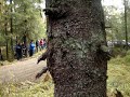 1 maalista ja 3 pikku tieltä jossa oli tapahtumaa.