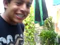 video estupido