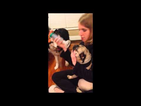 how to administer inhaler