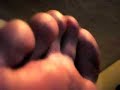 The Foot