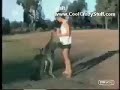 The Funniest Videos of ALL Time
