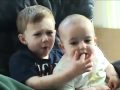 videos engraçados