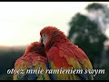 Oddaje Ci ?ycie swe Oddaje Ci ?ycie swe