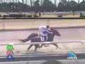 新馬動画2