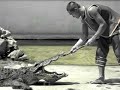 kafasını timsahın ağzına sokuyor. tayland timsahları