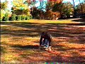 me-as-indiana-jones-whip-cracking.html
