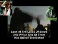 Who are the shia'a?