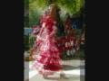 Flamenco/Sevillanes