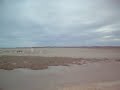 Char � cef volant