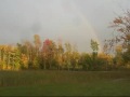 GMC, Dogs, And Fall Foliage...