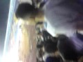 MOV00262.MP4