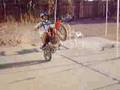 dirtbike-wheelie