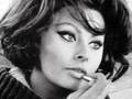 Bombshell Beauty : Sophia Loren Inspiration