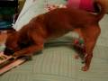videos de Lola being bad part 2