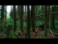 New Moon Video- Two Is Better Than One - Boys Like Girls Feat. Taylor Swift