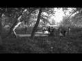 INSIGHT DOPAMINE TRAILER