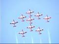 Snowbirds