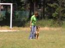 www.psisport.com - IPO CACIT,Kozienice 2008 - Arsa