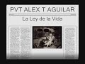 Mexican Guitar XXII