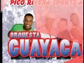 Guayacan Guayacan