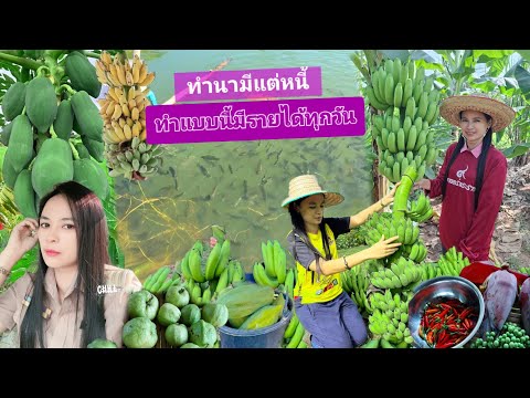 2ปีมีทุกอย่าง เริ่มต้นจากทุน2500 บาททำตามศาสตร์พระราชา