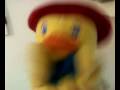 videos de 28122008076