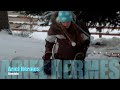 Ariel Shreddin