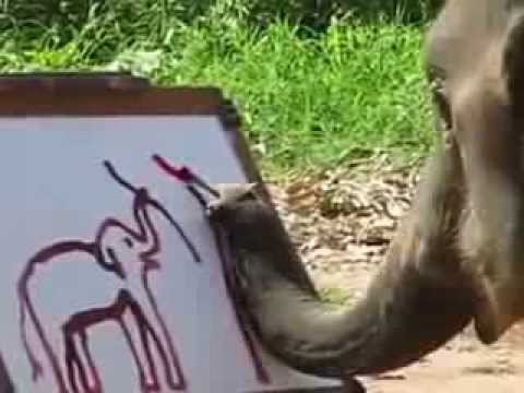 An Elephant And A Paint Brush: Watch this!!!